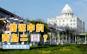 Download Video: 青岛滨海学院：传说中的青岛二*