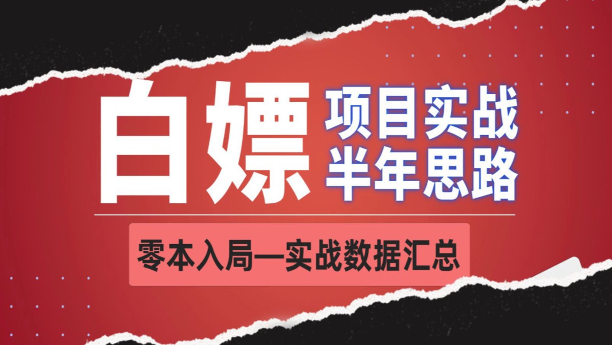 2024成本低小投入的蓝海风口项目!你不看我也帮不了你!哔哩哔哩bilibili