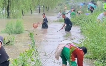 看看暴雨过后是怎样抓鱼的