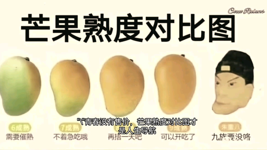 大型纪录片《芒果熟度笑传》持续为你播出