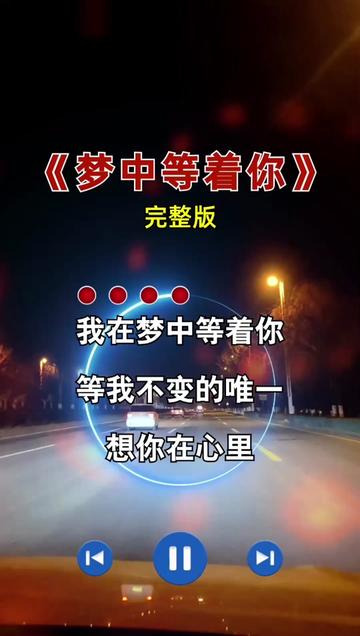 我是天天在想你,夜夜梦见你