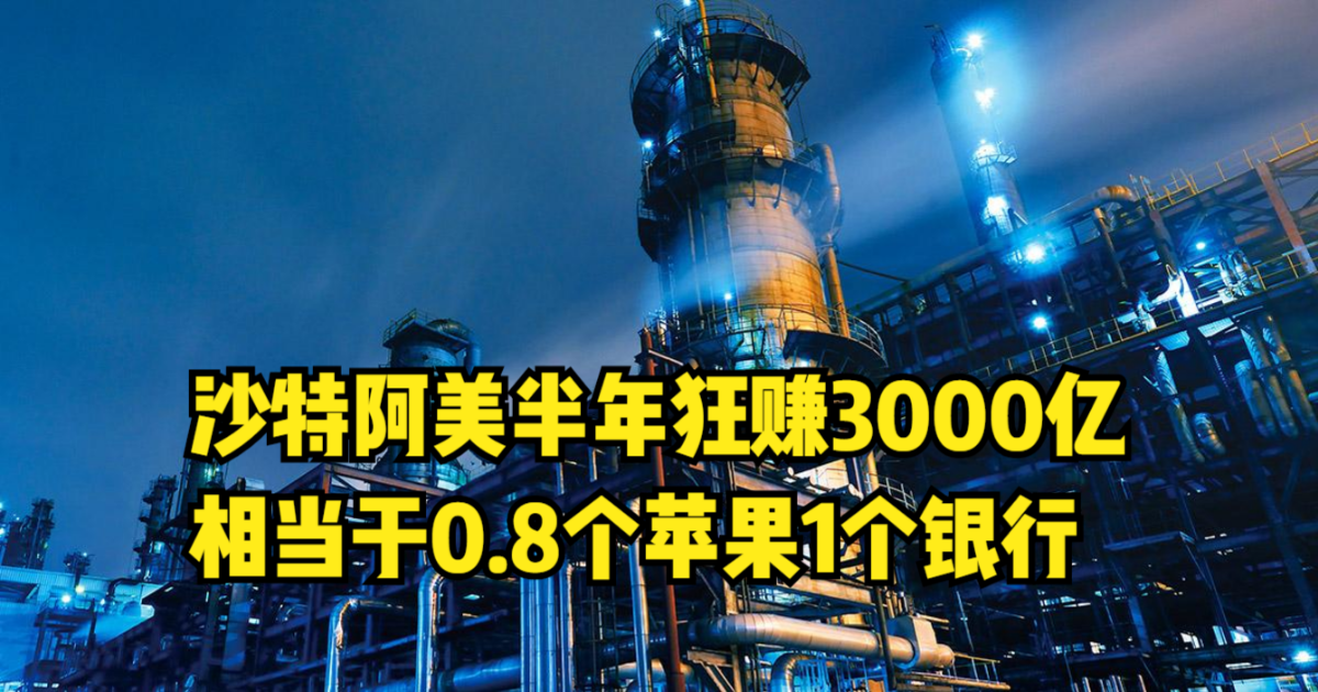 这就是全球“利润王”,半年狂赚3000亿,相当于0.8个苹果1个银行哔哩哔哩bilibili