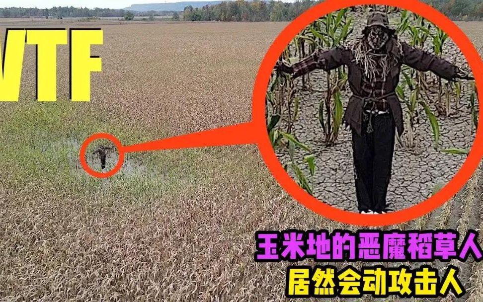 [图]玉米地里面的恶魔稻草人，传说这个稻草人会吃人，这真的是这样吗