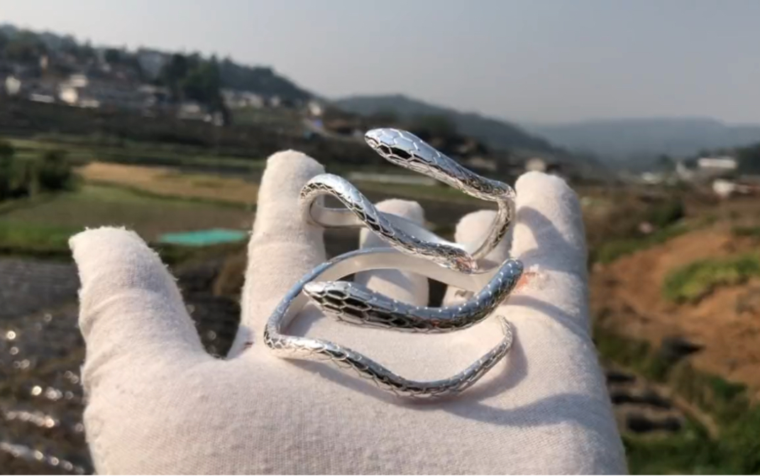 足银打的灵蛇手镯