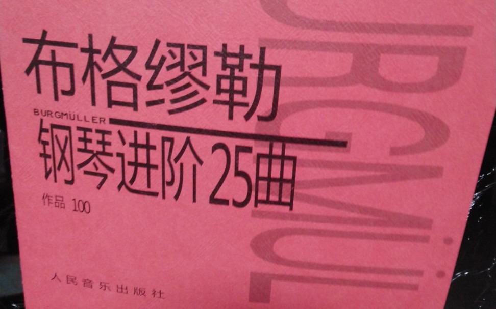 活动作品布格缪勒坦诉