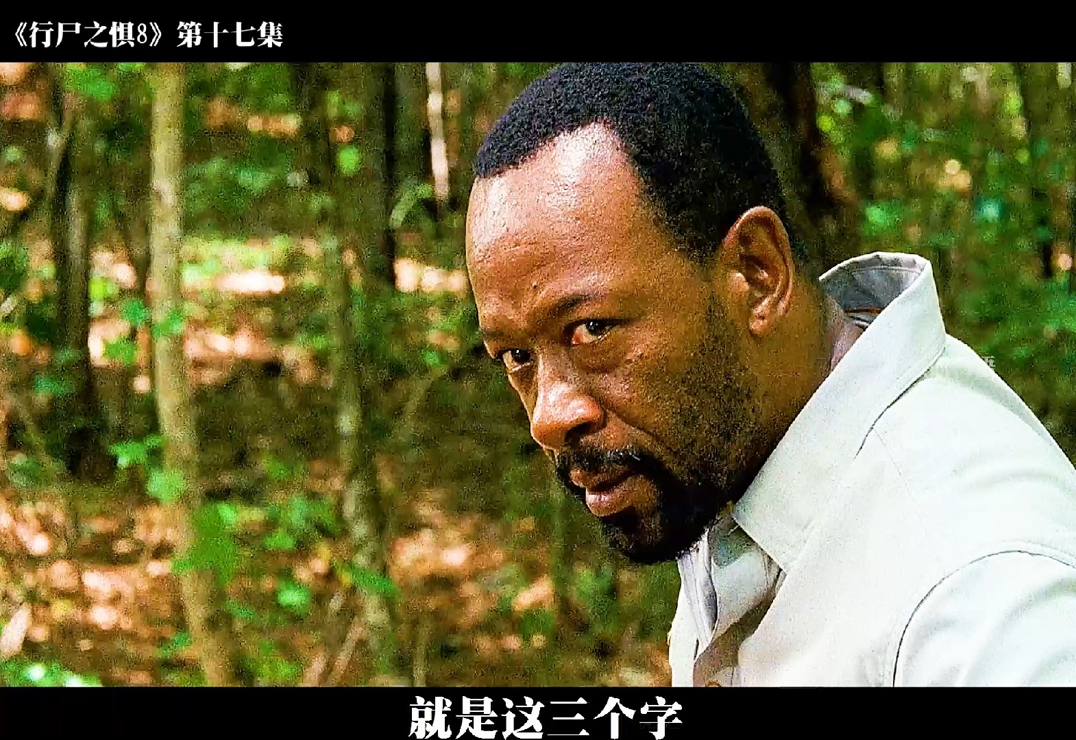 【行尸之惧8-第17集】大片来袭