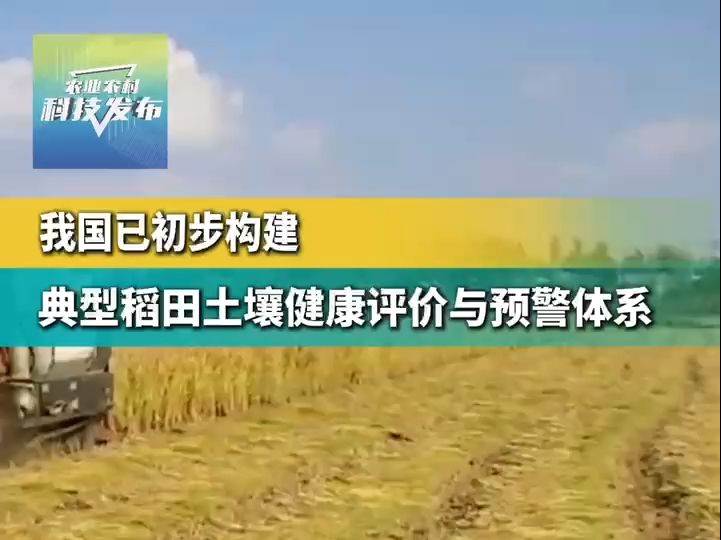 我国已初步构建典型稻田土壤健康评价与预警体系哔哩哔哩bilibili