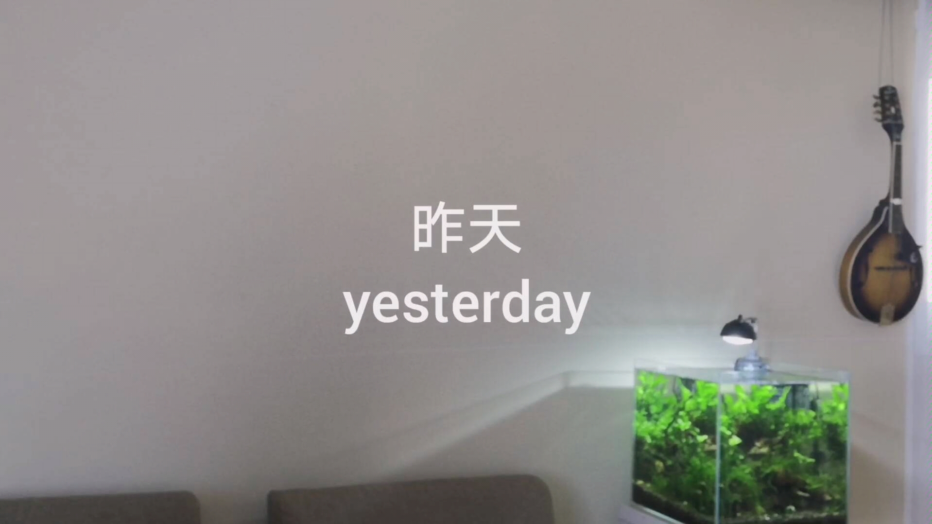 昨天,(yesterday,violin cover)