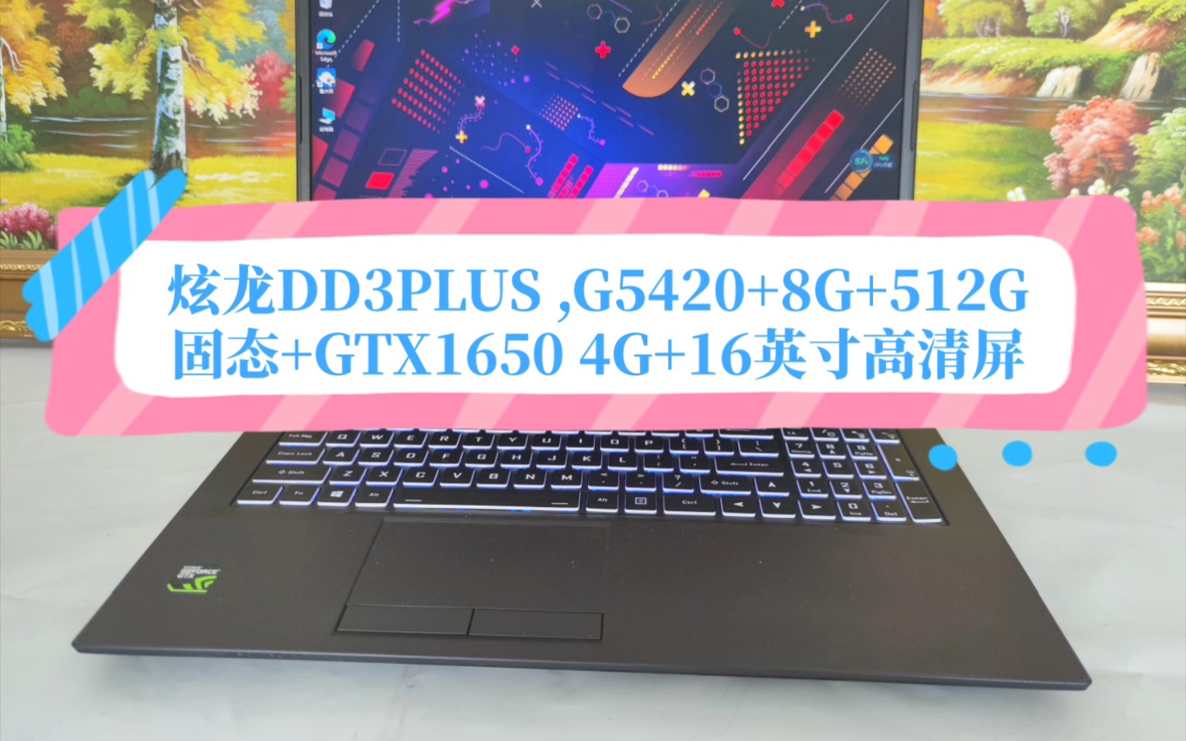 炫龙DD3PLUS ,G5420+8G+512G固态+GTX1650 4G+16英寸高清屏哔哩哔哩bilibili