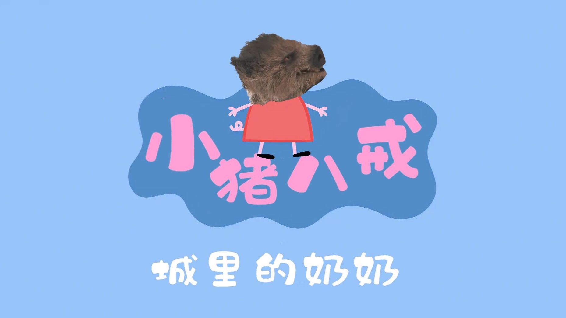 小猪八戒哔哩哔哩bilibili