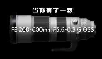 Télécharger la video: 当你有了一颗索尼200-600超长焦【样片展示】