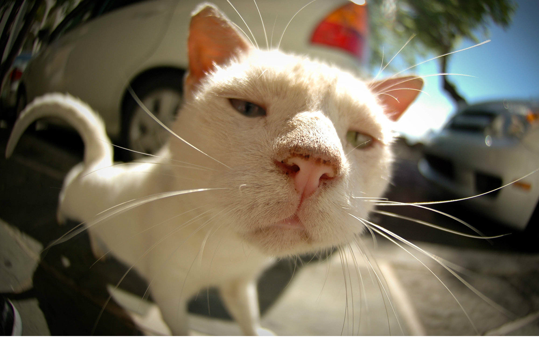 想一夜爆红的智障小伙 up主: 混剪晓佳