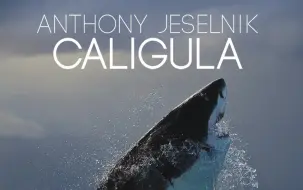 Download Video: Anthony Jeselnik - Caligula 2013