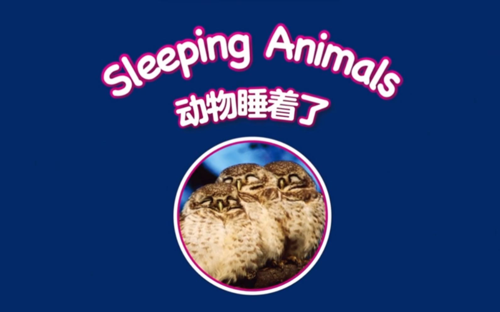 [图]多维阅读 英语故事动画 第1级 08 Sleeping Animals