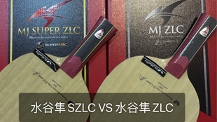 魏傻买 内圆外方 水谷隼zlc Vs 波尔zlc 哔哩哔哩 つロ干杯 Bilibili