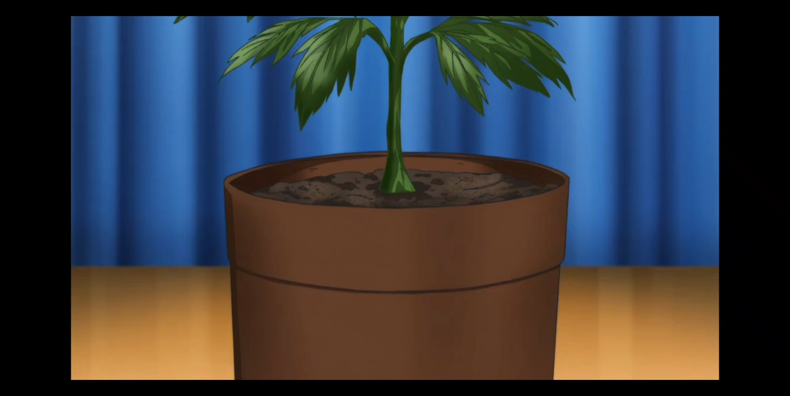 新网球王子201美人组(植物组):三大白月光