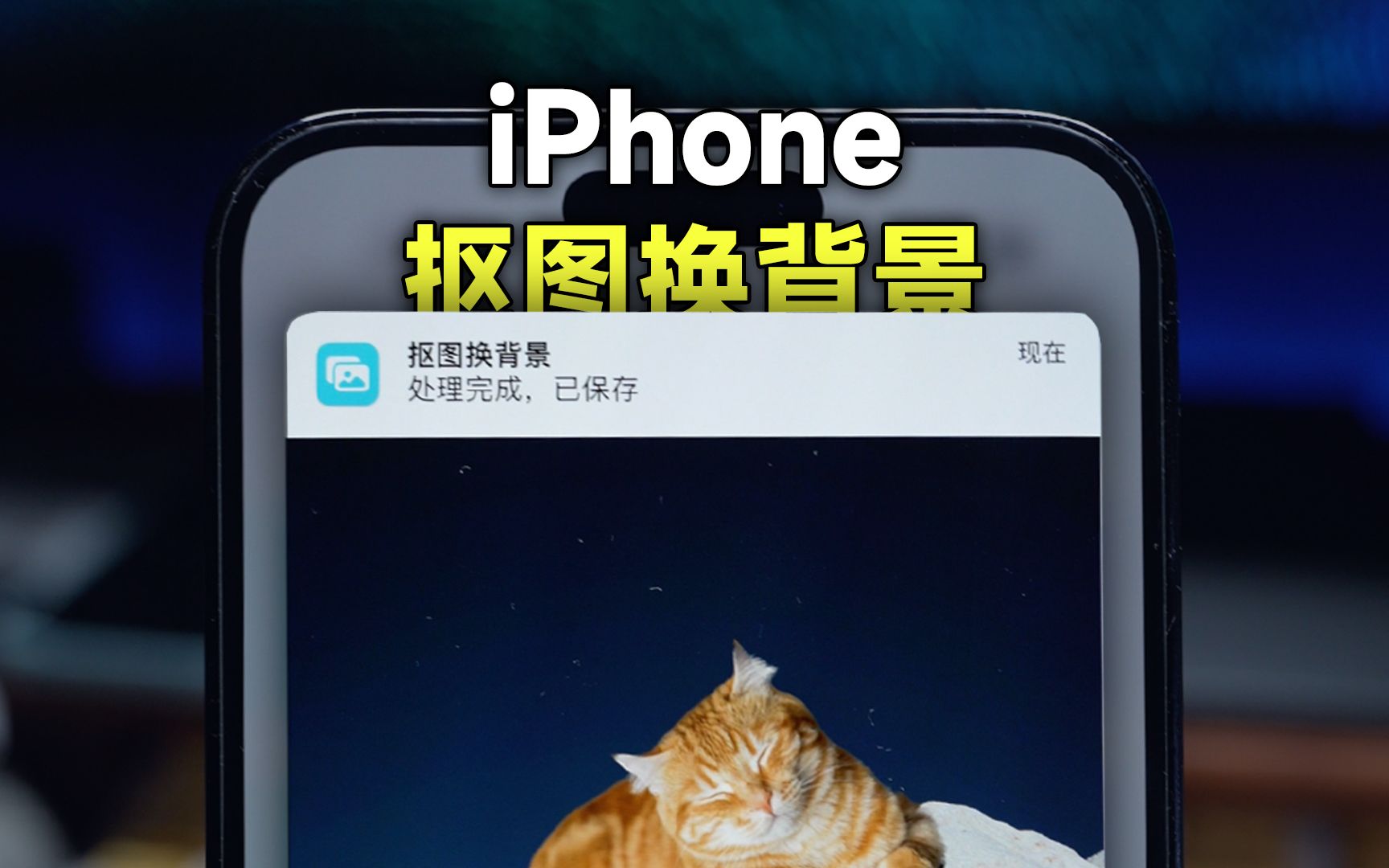 升级了iOS 16,iPhone抠图换背景如此方便!哔哩哔哩bilibili