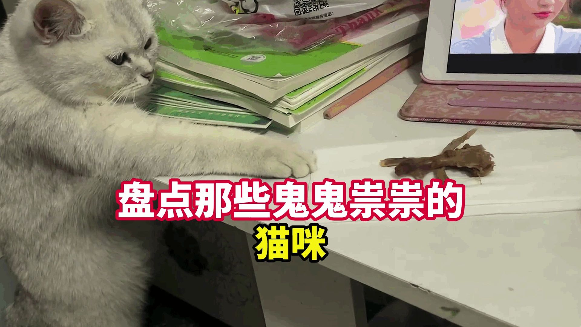10只猫鬼鬼祟祟,8只肯定在偷东西