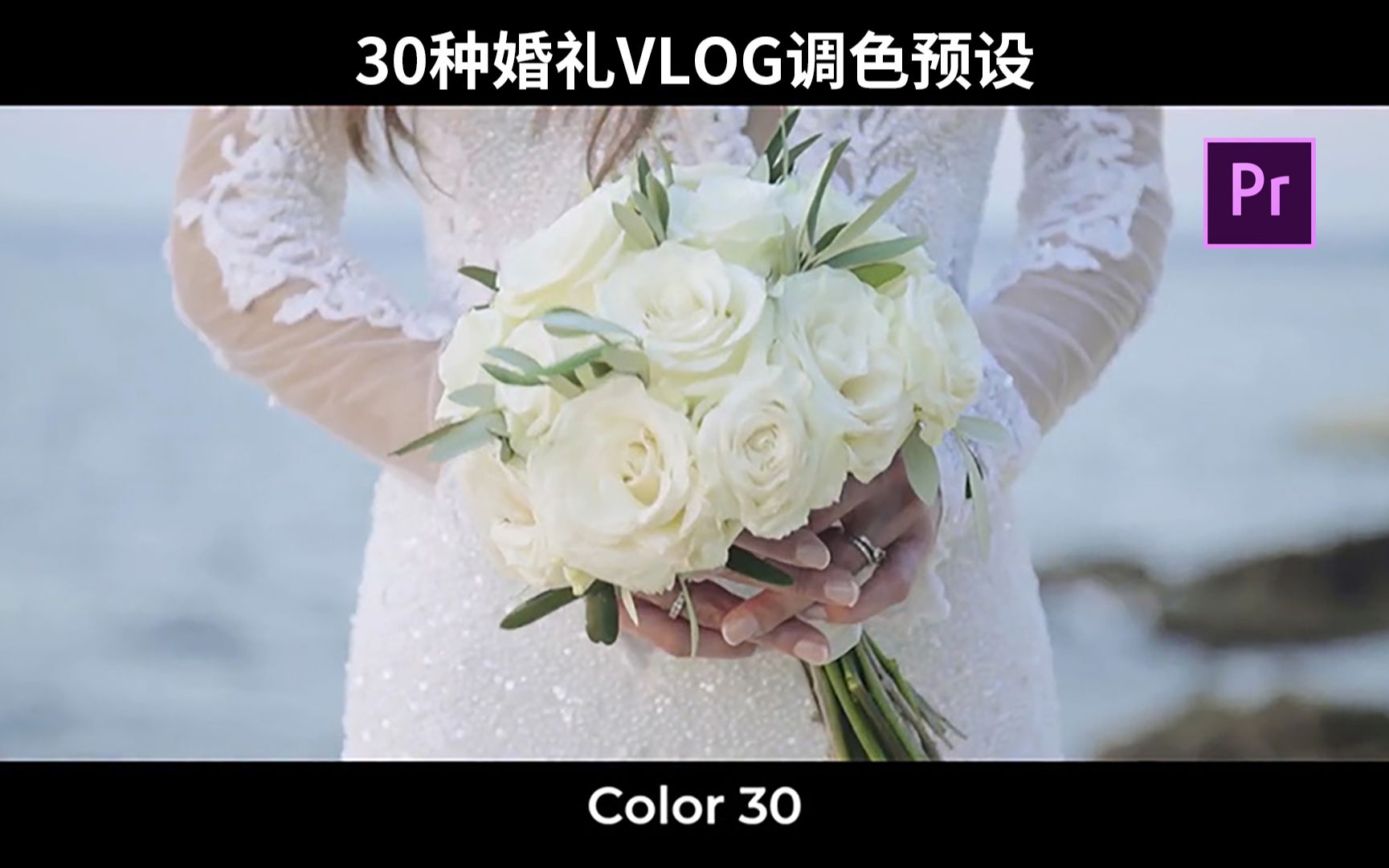 30种PR专业Vlog婚礼视频调色LUT预设哔哩哔哩bilibili