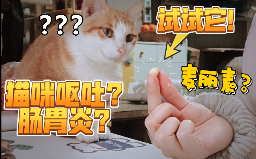 猫咪呕吐?肠胃炎?猫咪肠胃脆弱,在家自己治疗试试.附送轻松给猫喂药教程哔哩哔哩bilibili