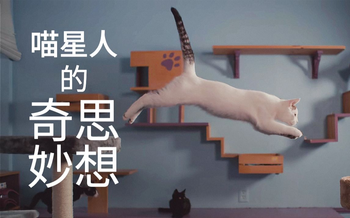 [图]【Netflix】HDR 喵星人的奇思妙想｜Inside the Mind of a Cat (2022) 中文字幕