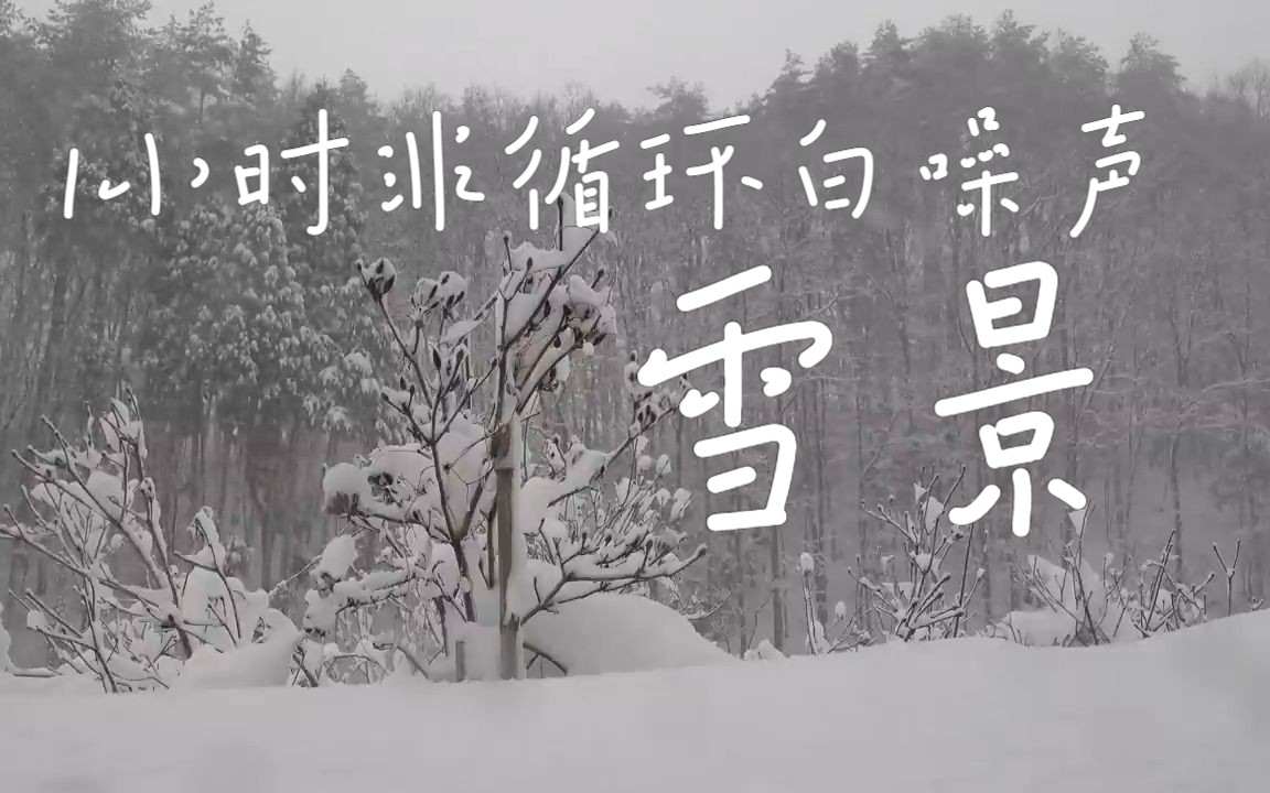 [图]【雪景-1小时实景非循环】大雪纷飞 白噪音 环境音 雪景 下雪