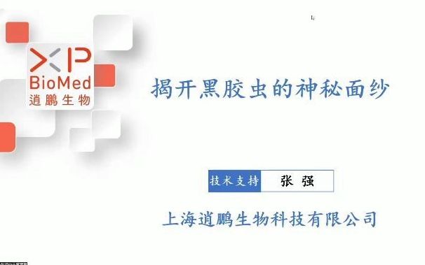 【VivaCell细胞培养讲座】揭开黑胶虫的神秘面纱哔哩哔哩bilibili