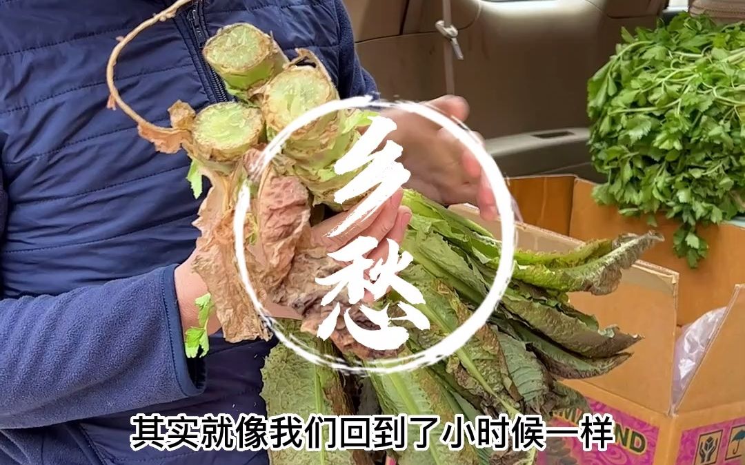 [图]带上连接我与故乡（亲人）的食物上路，投身于梦想落地的村庄。今天开工，祝愿大家努力工作，幸福生活。