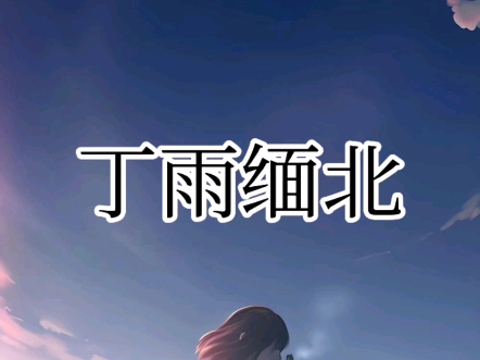 丁雨缅北哔哩哔哩bilibili