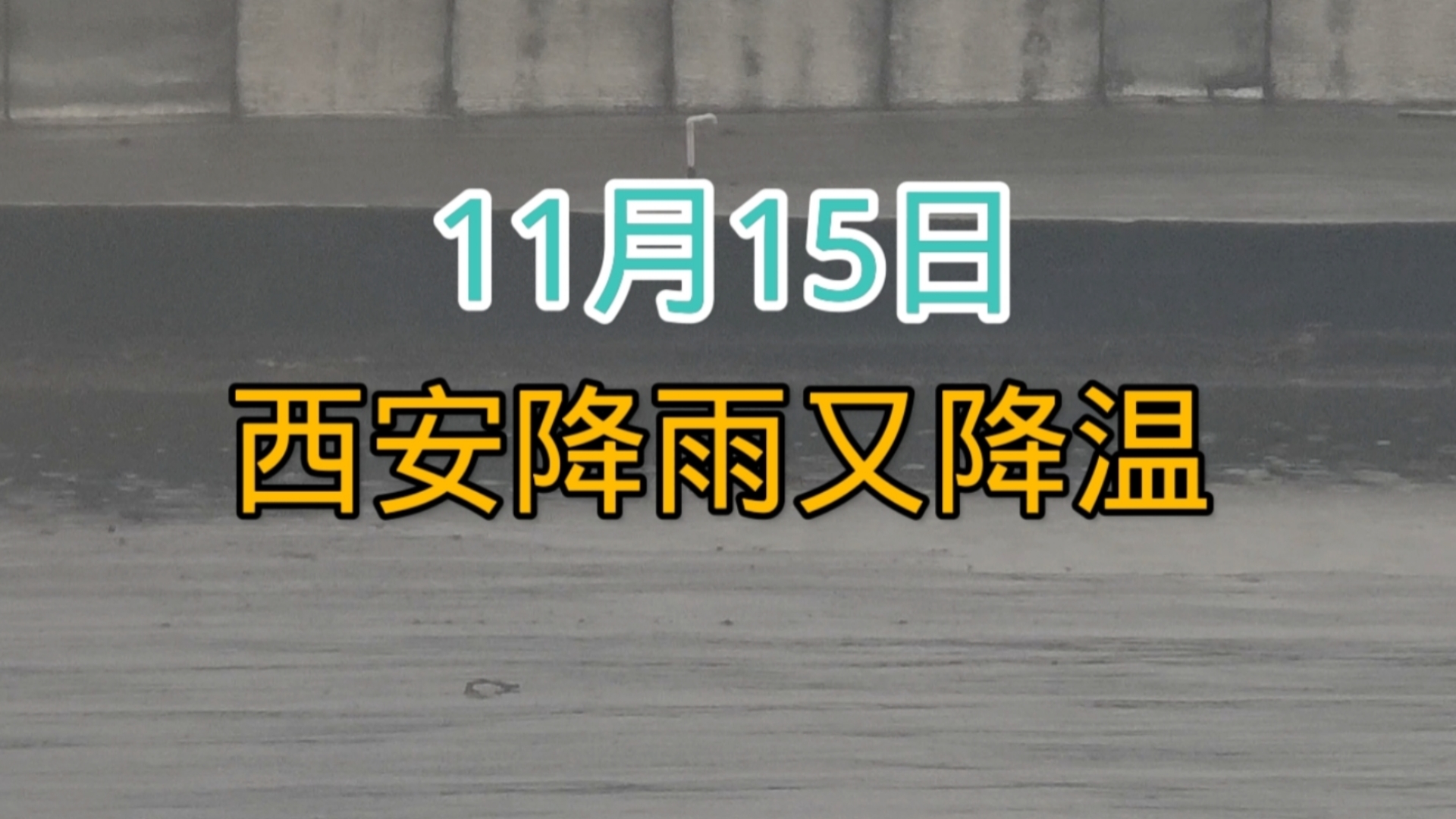 11月15日西安降雨又降温,未来气温持续走低,大家出门注意天气变化哔哩哔哩bilibili