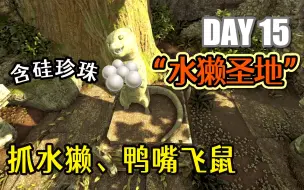 Descargar video: 【方舟维京湾15】水獭圣地抓水獭，采大量含硅珍珠，还顺手训了只鸭嘴飞鼠！- ARK方舟生存进化维京湾原始恐惧3倍恐龙生存开荒