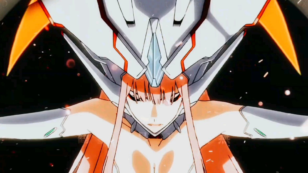 鹤望兰号你还记得有多种形态?#国家队02