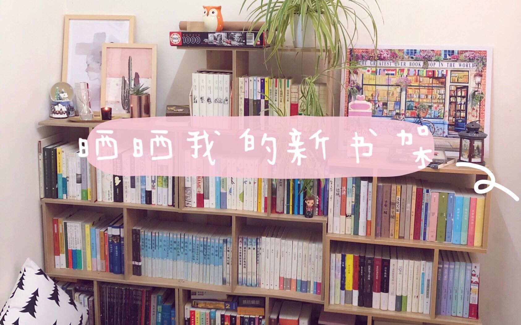 晒晒我的新书架~new bookshelf tour|装书架,整理书,书架游,拼拼图哔哩哔哩bilibili