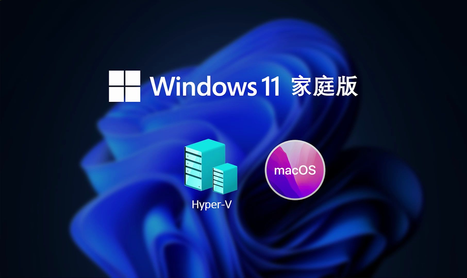 win11系统家庭版和专业版区别_windows11和windows11家庭版