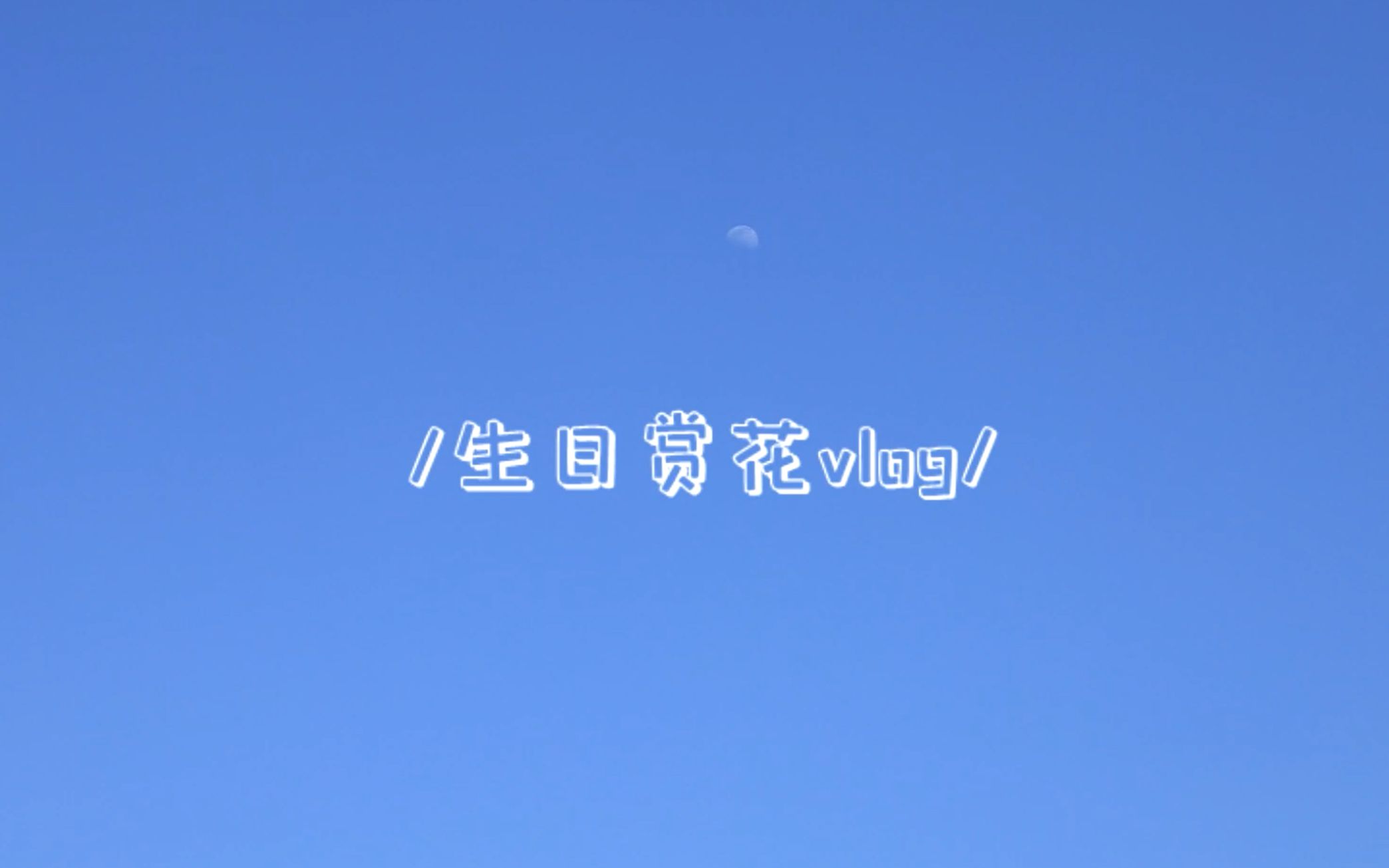 生日拍花vlog哔哩哔哩bilibili