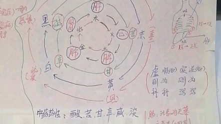 [图]情致、食物颜色、味道所对应的人体器官