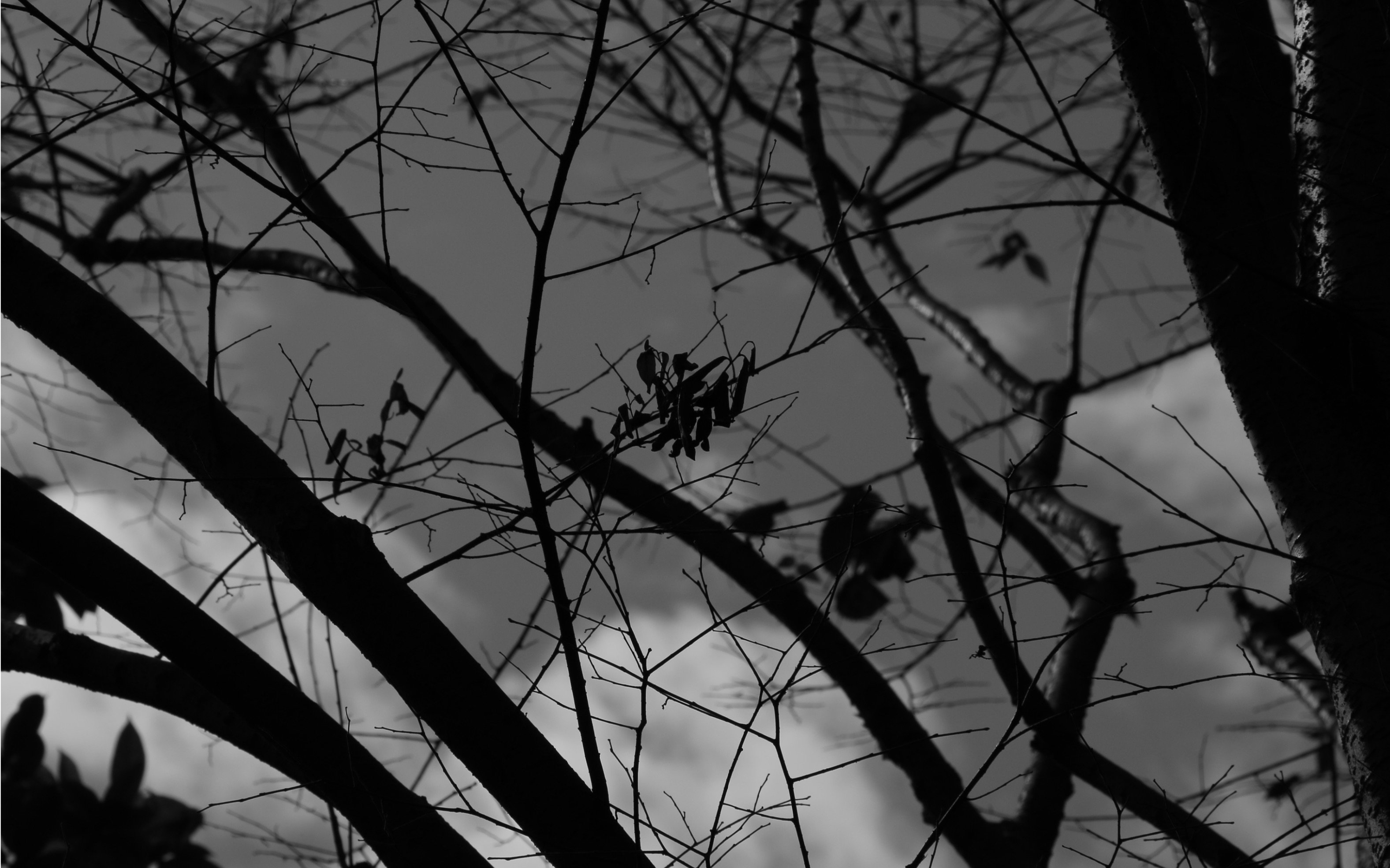 "追逐风吹过来的方向"|黑白摄影,人文纪实,扫街/我是一个不太善于表达