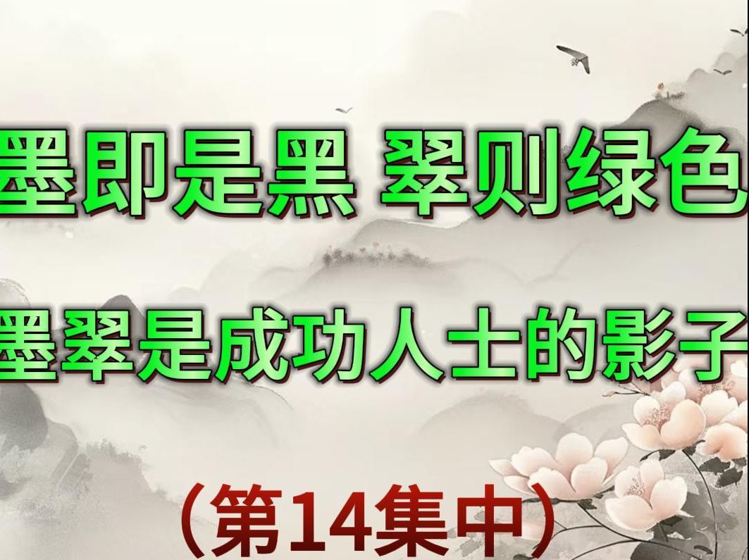 ”墨既是黑,翠则是绿“,是成功人士的影子!哔哩哔哩bilibili