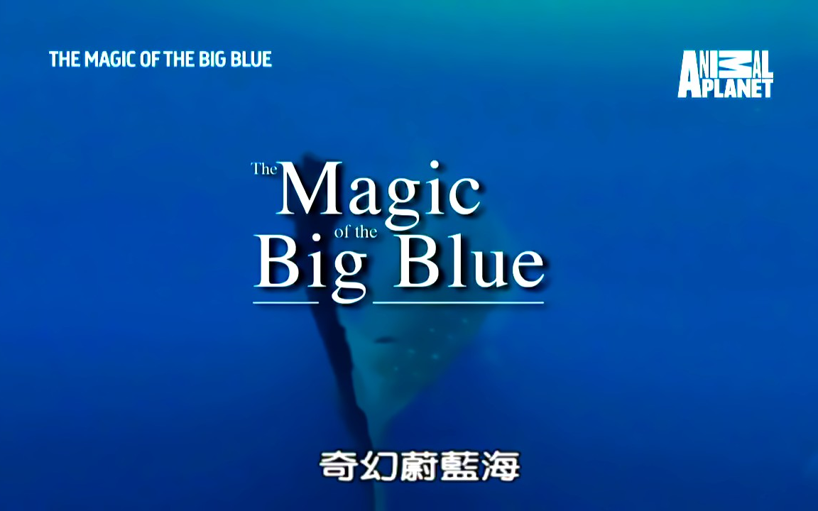 [图]奇幻蔚蓝海 The Magic of the Big Blue 更新至第7集（9.22）