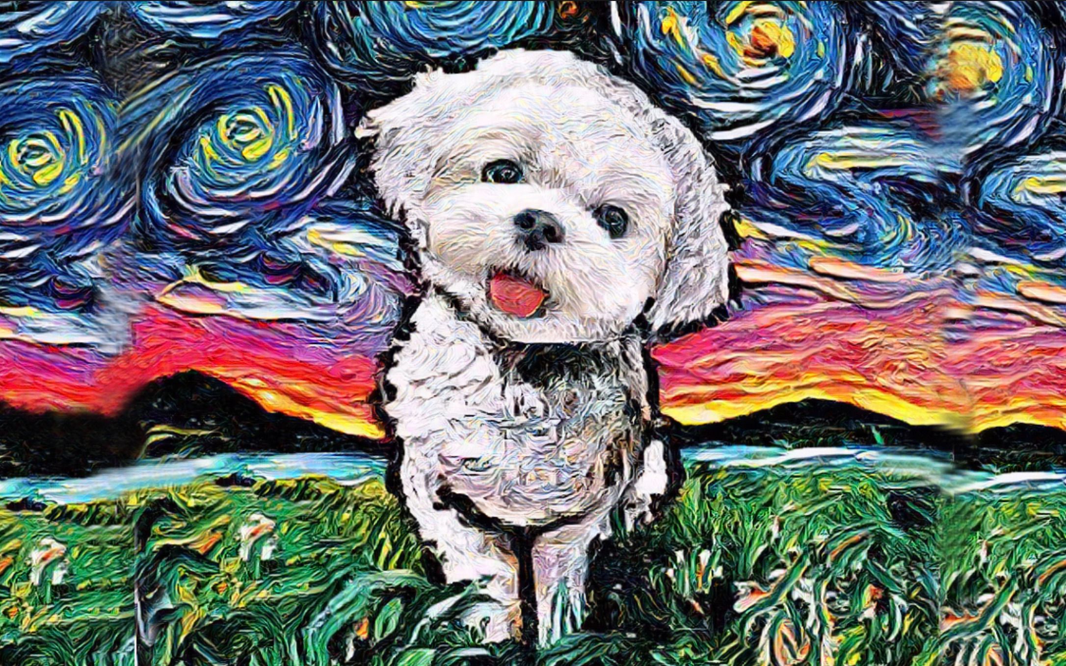 开箱:巴黎卢浮宫都想收藏的马尔济斯犬油画