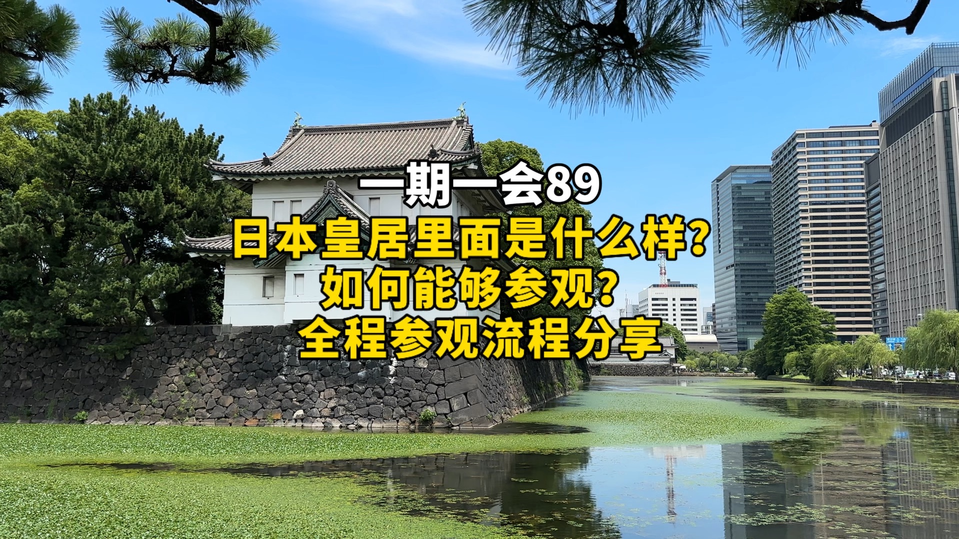 日本皇居里面是什么样的?外国人可以进入吗?参观全过程分享.哔哩哔哩bilibili