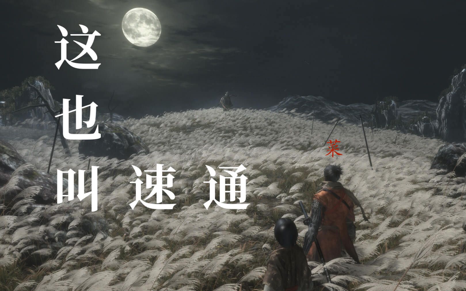 只狼修罗结局1小时20分通关