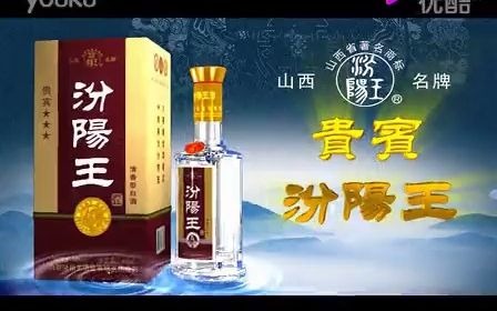 贵宾汾阳王酒广告哔哩哔哩bilibili