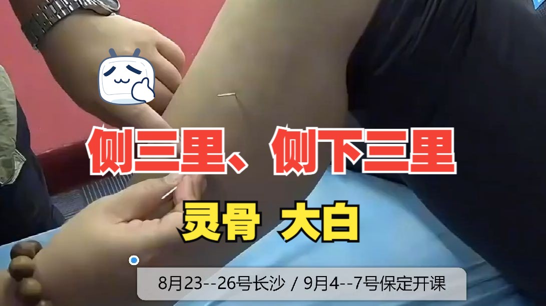 刘红云董氏奇穴实操:侧三里侧下三里,灵骨大白针对牙疼有妙用!