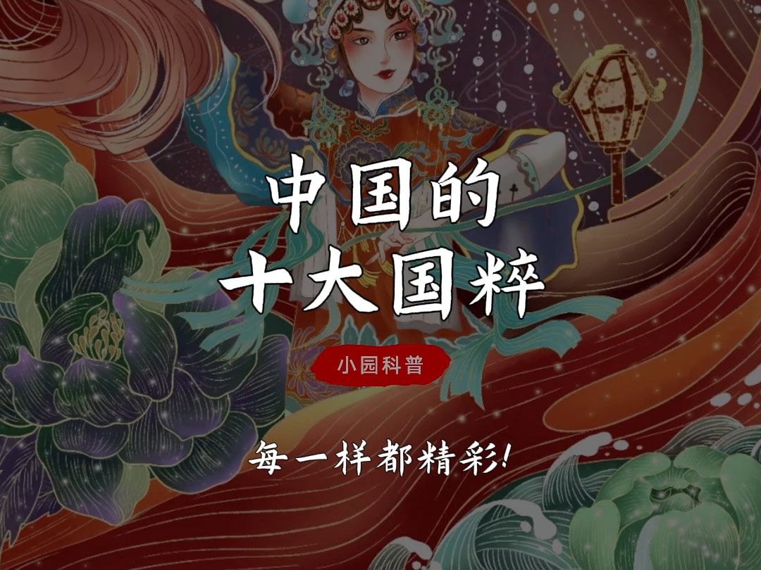 中国的十大国粹,每一样都精彩!哔哩哔哩bilibili