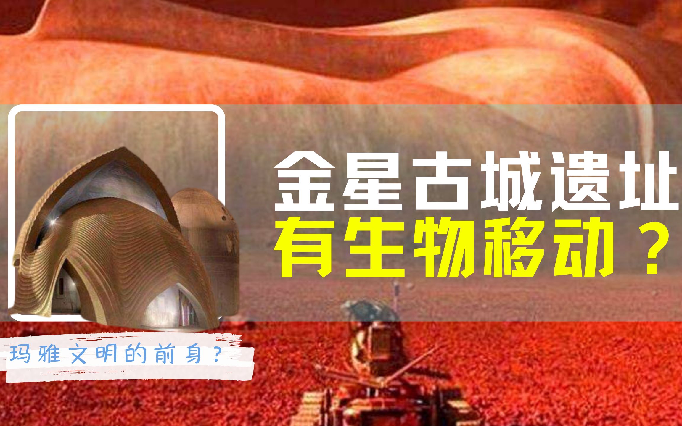 [图]金星2万座古城遗迹，似有生物在移动，金星诞生过高级文明吗？