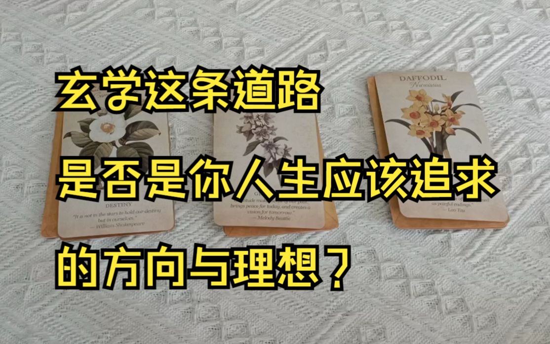 【恒姞塔罗】玄学这条道路是否是你人生应该追求的方向与理想?哔哩哔哩bilibili