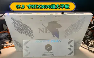 Descargar video: 17.3寸4k屏高刷RTX3070 超大平板