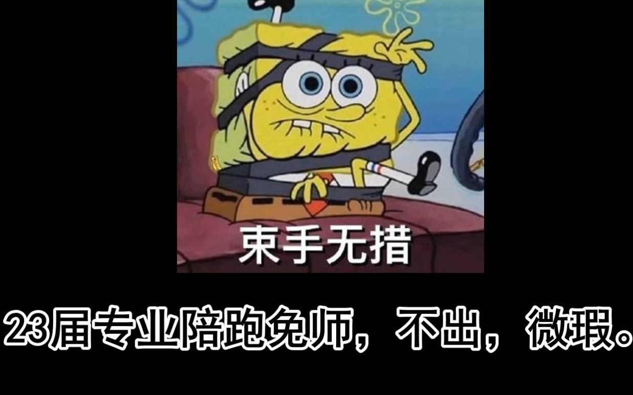 23届专业陪跑专业陪跑免师,不出,微瑕