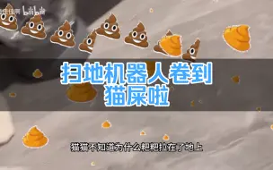 Download Video: 扫地机器人：终于逮到你了，猫屎！！！